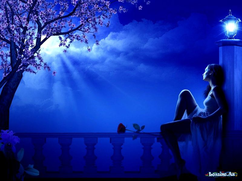 Javid - Night