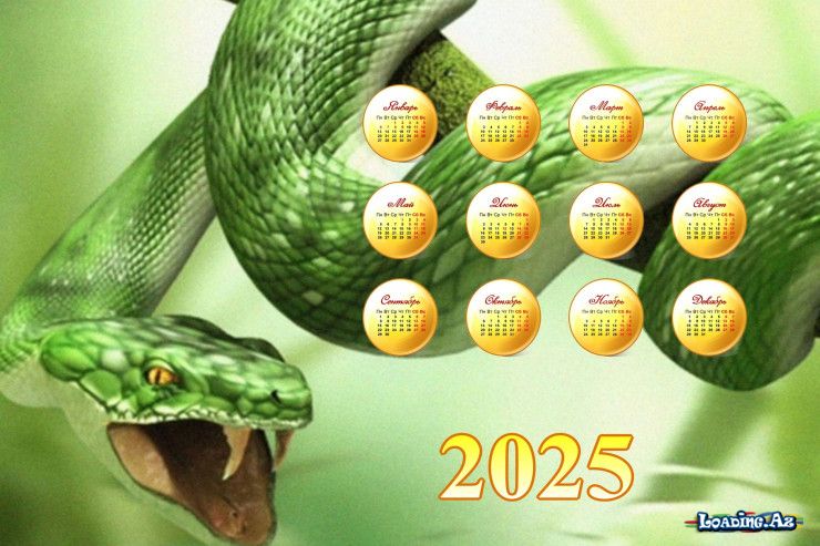 İlan ili:2025-ci ildə hər bürc üçün nə vəd edir - Sun.Az