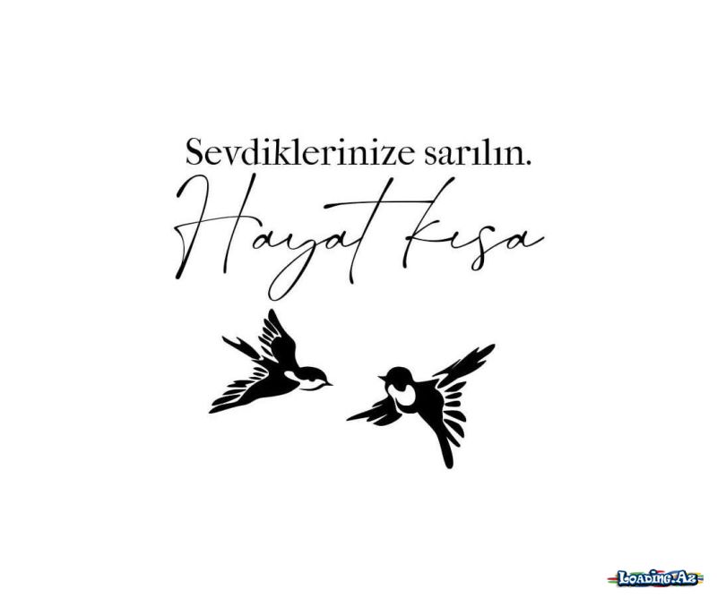 Sevdiklerinize sarılın, hayat kısa - Sun.Az
