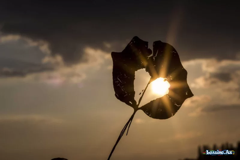 Tanımadı qapım səni - Sun.Az