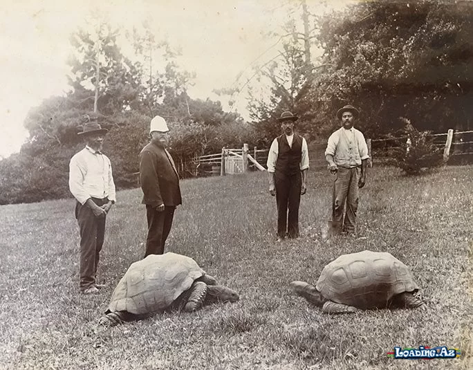 193 yaşı var və hələ də sağdır?