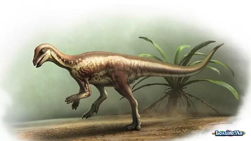 Sirli qaçan dinozavr Yura dövrünün başqa bir sirrini açdı - Sun.Az