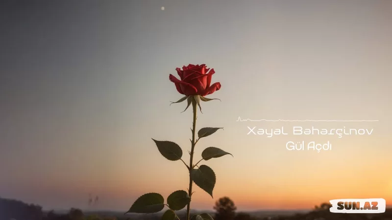 Xəyal   Bəhərçinov-Gül      Açdı  2025 - Sun.Az
