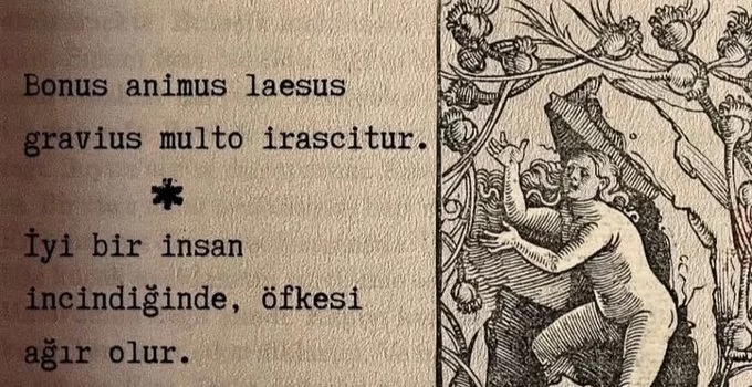 Bilmeniz gereken 12 Latince Söz…