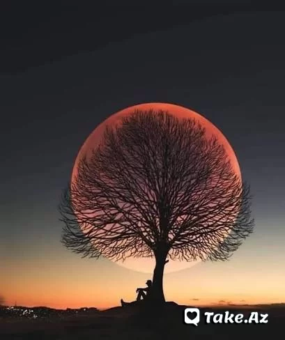 из прошлого в настоящее..) - Sun.Az