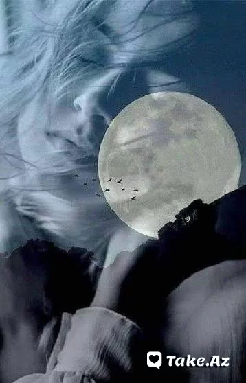 Sən ətirlən mən küləyə yalvarım - Sun.Az