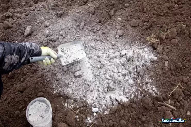 Niyə mart ayında bağa kül səpmək lazımdır? - Sun.Az