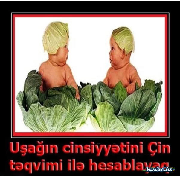 Uşağın cinsiyyətini Çin təqvimi ilə hesablayın! - 95% DOĞRU