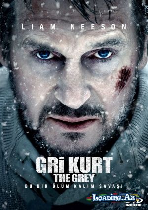 The Grey (Gri Kurt) - Sun.Az