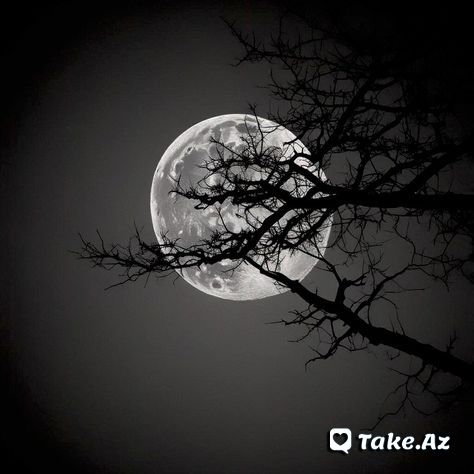 Nakam ümüdlər ürəyin qəm çəkir ətrafına - Sun.Az