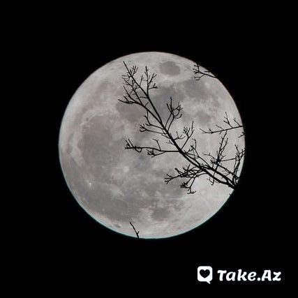 Cananın üzün görsə olar bəxtəvər aşiq) - Sun.Az