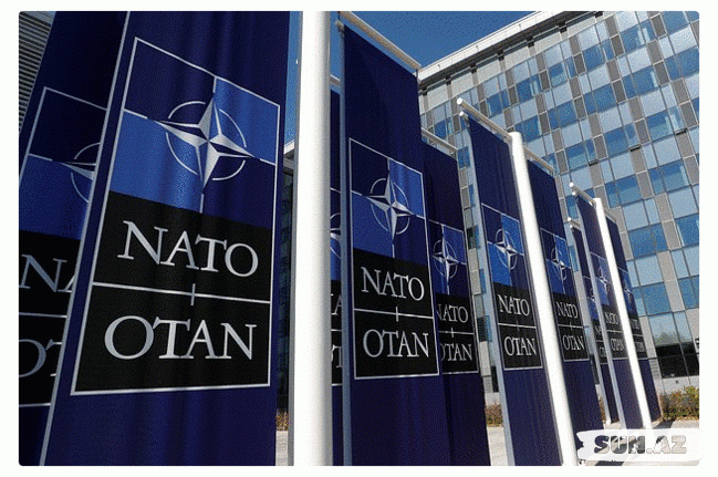 Norveçli generaldan NATO ilə bağlı sərt açıqlama - Sun.Az
