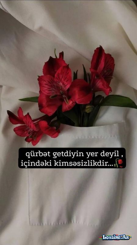 Həyat bir daş kimi alnıma dəydi - Sun.Az