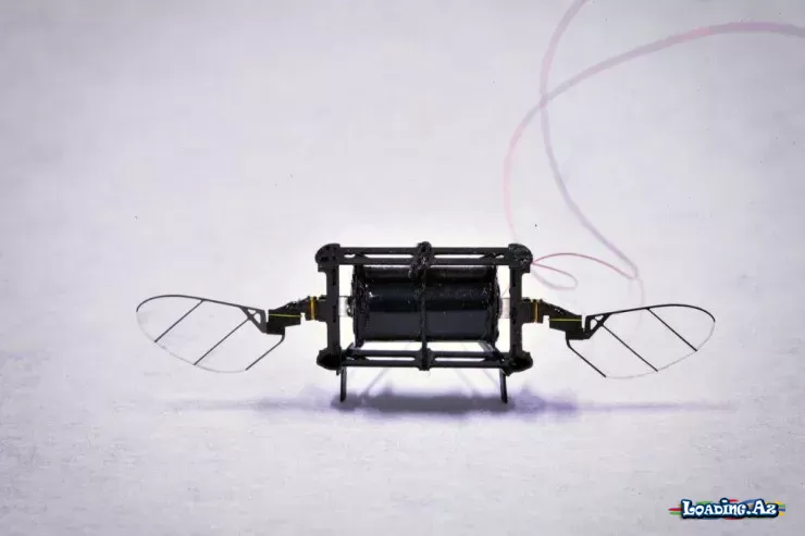 MIT-in balaca uçan robotu süni intellektlə 4,5 dəfə sürətləndi - Sun.Az