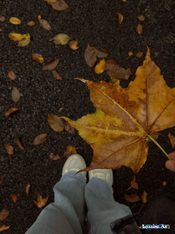 🍁🤎 PAYİZ 🤎🍁 - Sun.Az