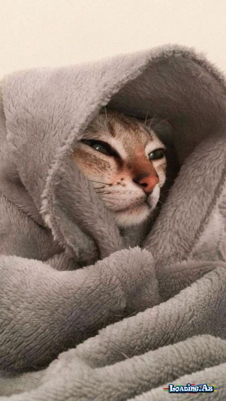 İt's my mood - Sun.Az